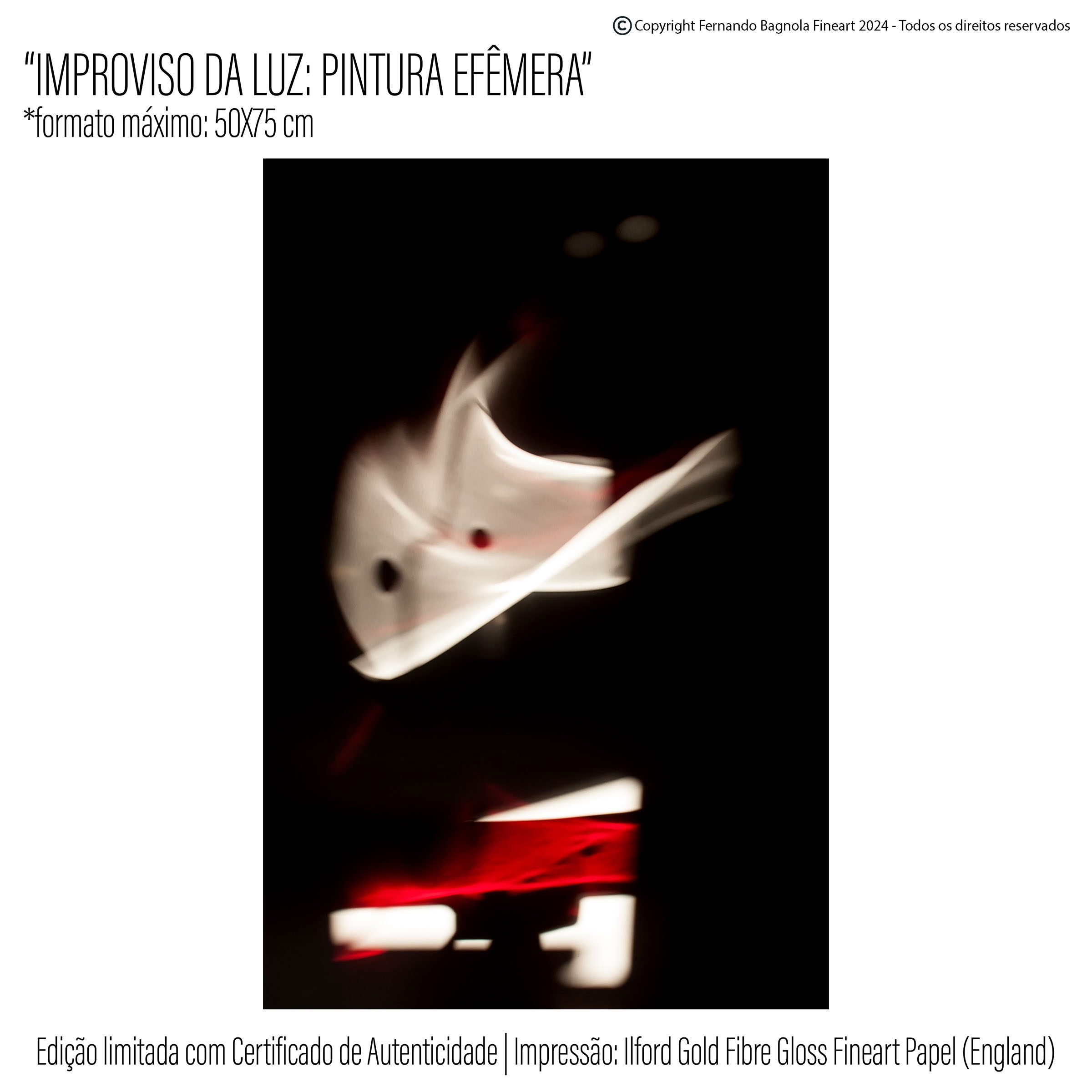 Obra fotogrÃ¡fica FA-009