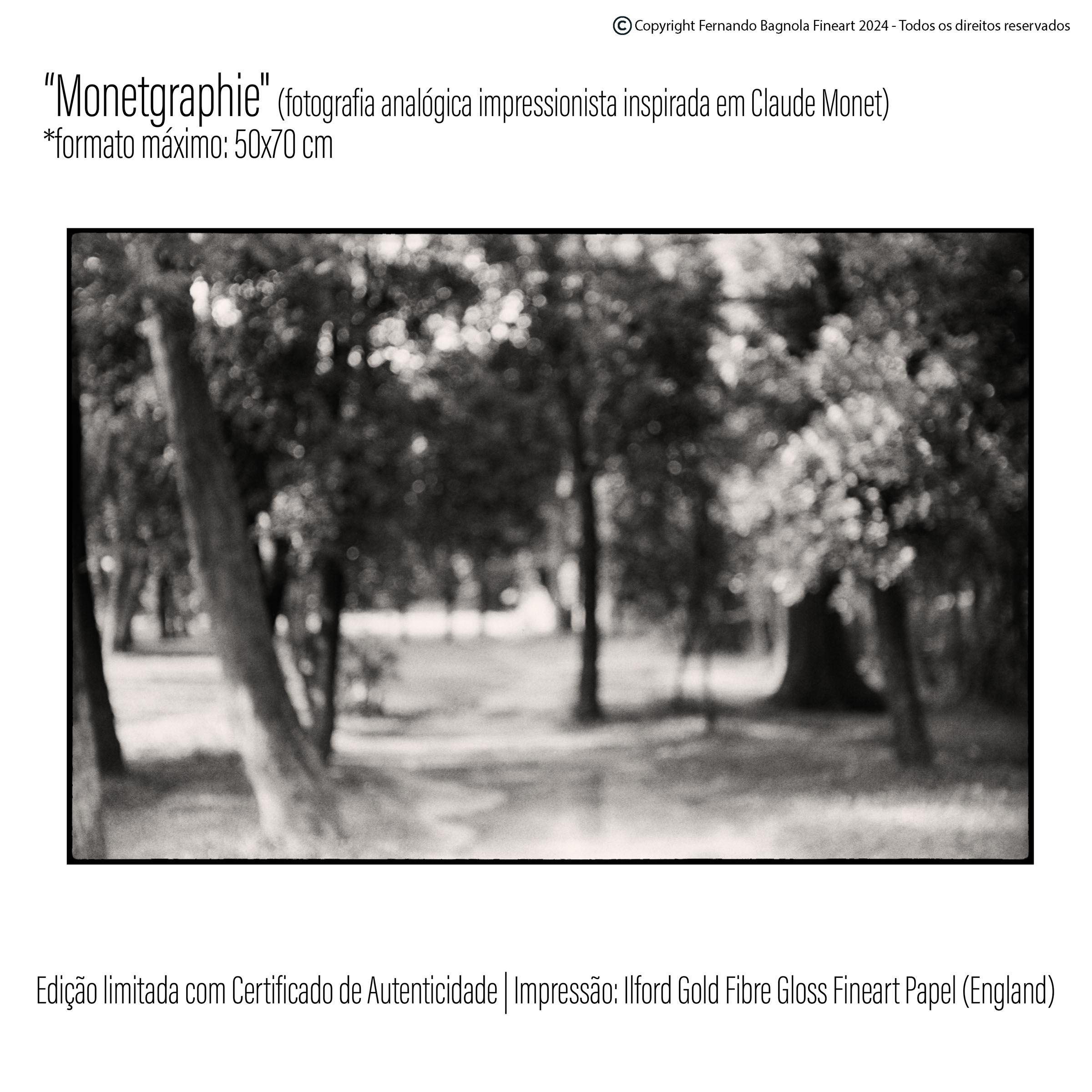 Obra fotogrÃ¡fica FA-039