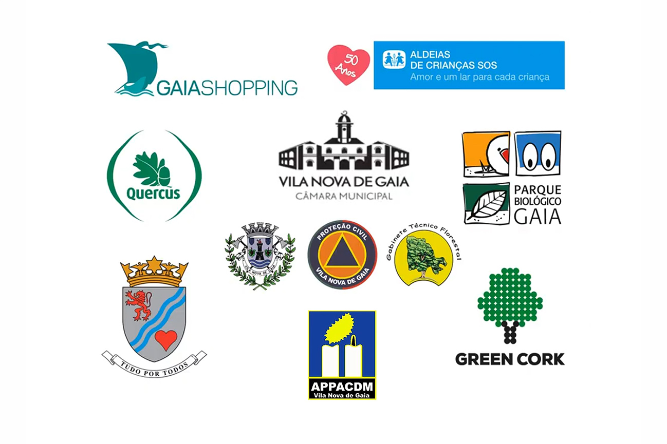 Empresas e instituições que apoiaram projetos e causas desenvolvidos por Fernando Bagnola.